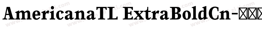 AmericanaTL ExtraBoldCn字体转换